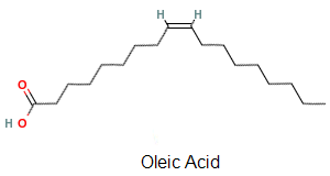 oleic acid